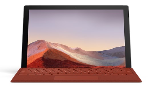 红花岗清洁和维护 Surface